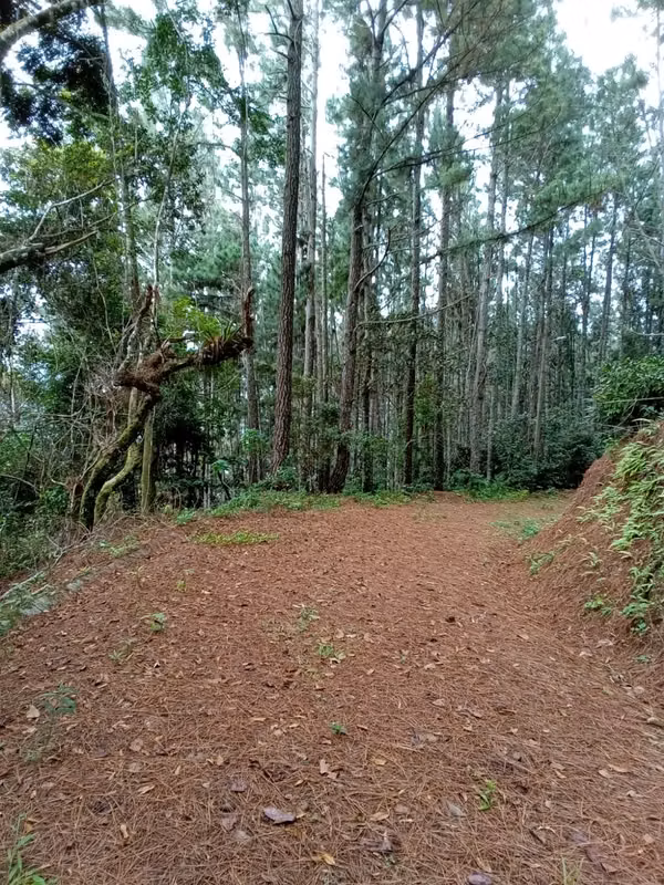22-Hectare Lot for Sale in Altos del María, Panama