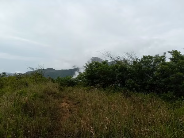 22-Hectare Lot for Sale in Altos del María, Panama