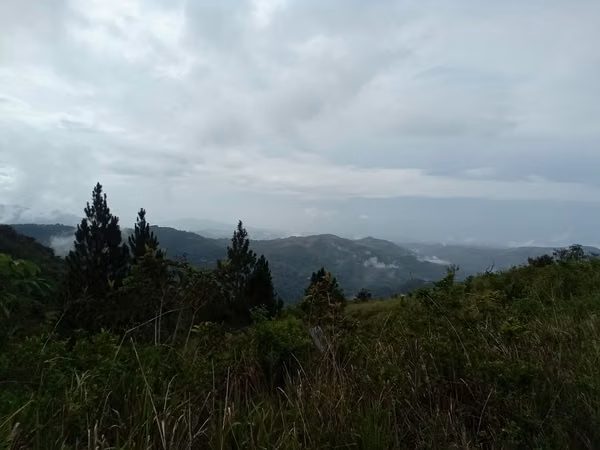 22-Hectare Lot for Sale in Altos del María, Panama