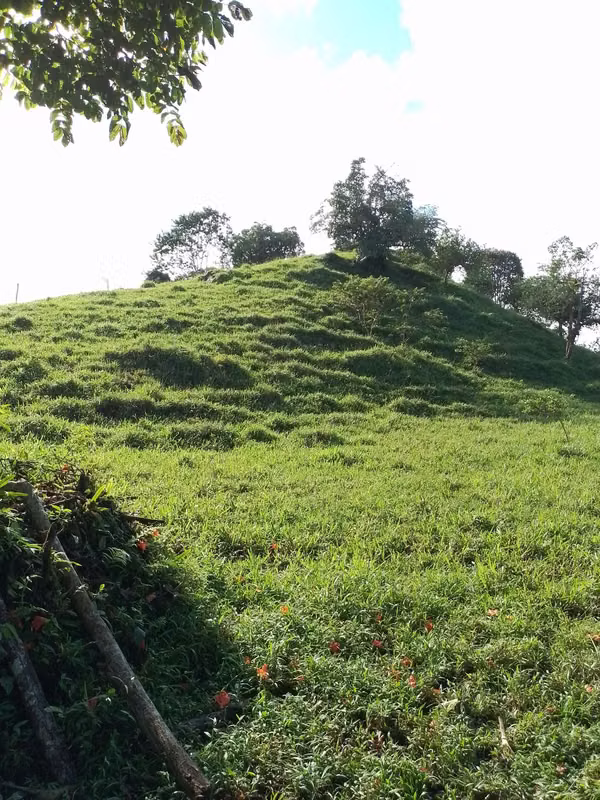Farm for sale in Volcán