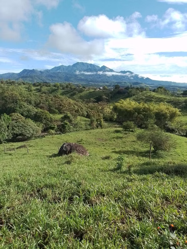 Farm for sale in Volcán