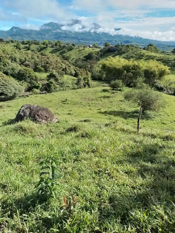 Farm for sale in Volcán