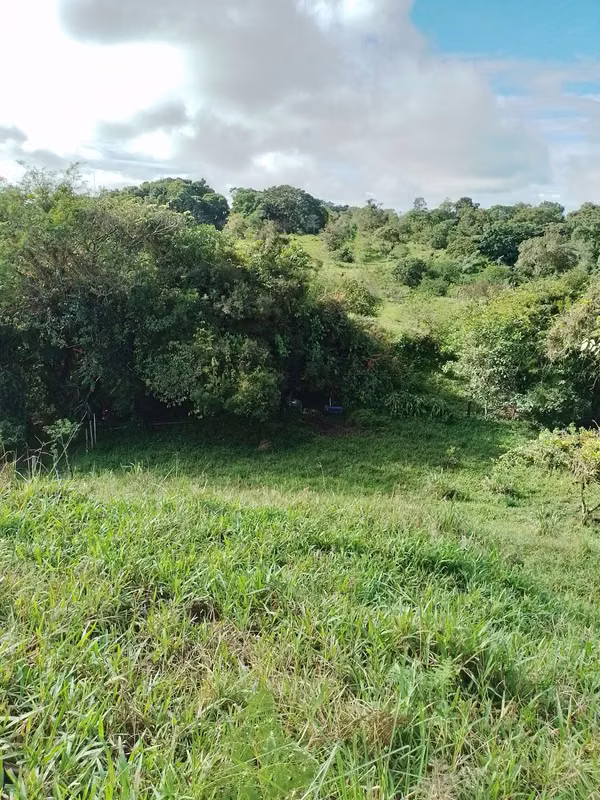 Farm for sale in Volcán