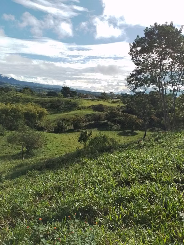 Farm for sale in Volcán