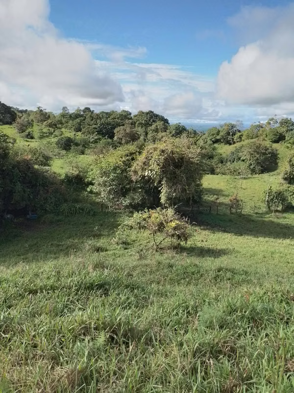 Farm for sale in Volcán