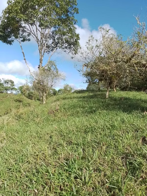 Farm for sale in Volcán