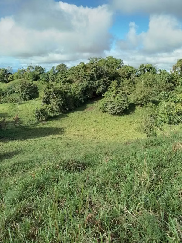 Farm for sale in Volcán
