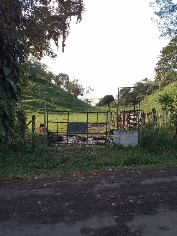 Farm for sale in Volcán