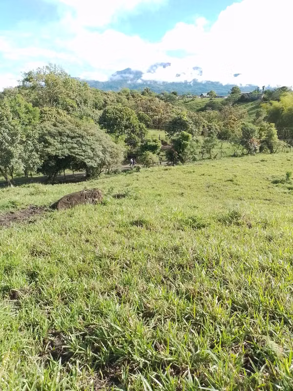 Farm for sale in Volcán