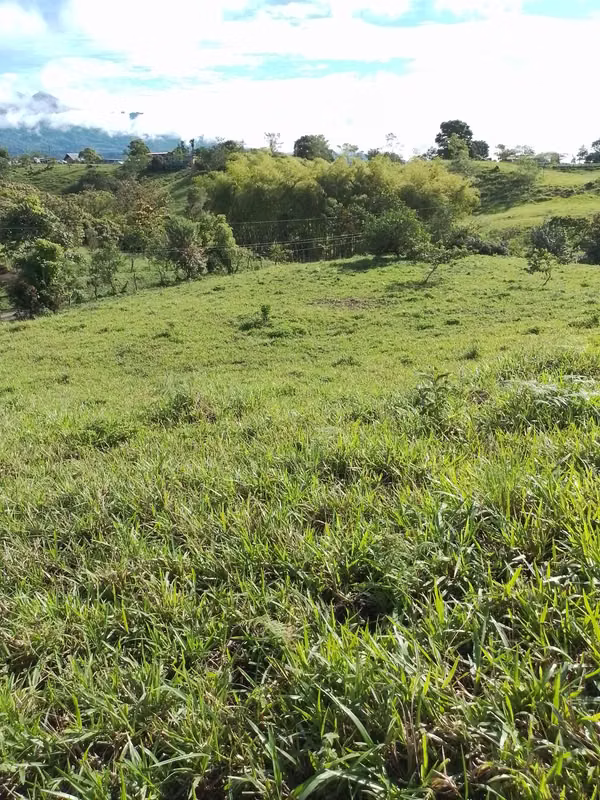 Farm for sale in Volcán