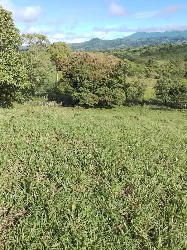 Farm for sale in Volcán