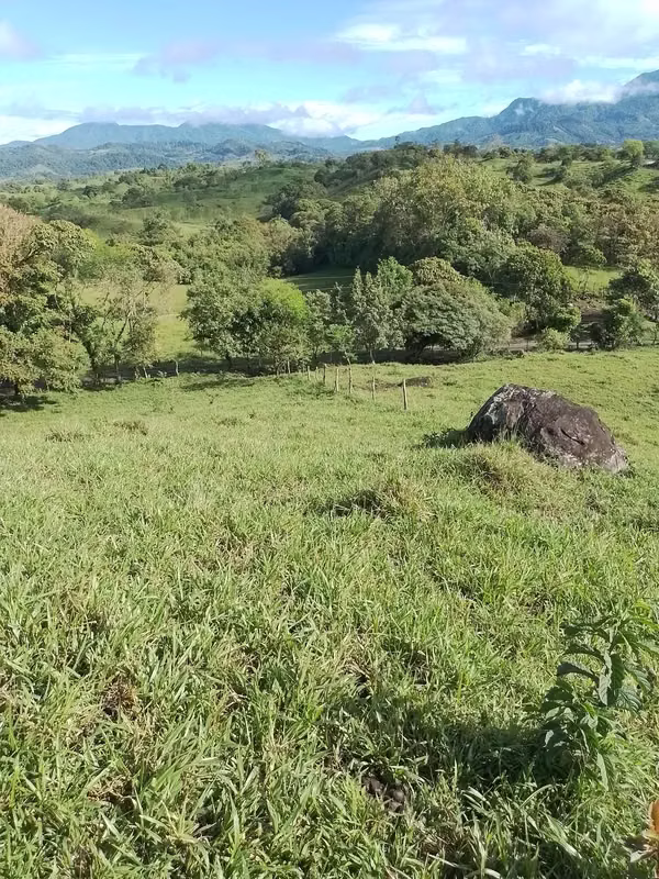 Farm for sale in Volcán