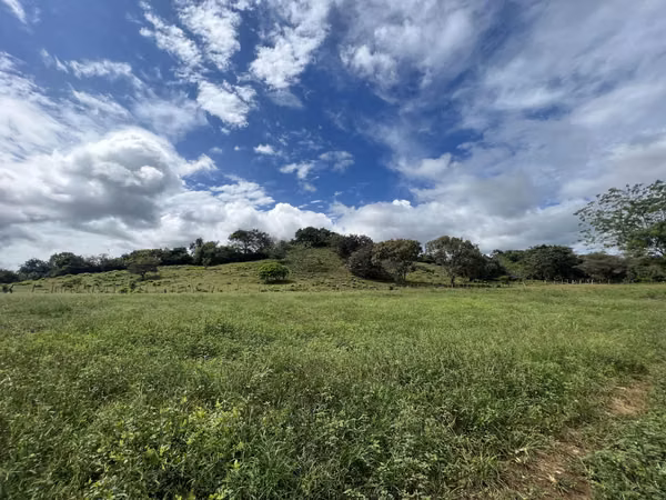 Land for sale Cañaveral Sardinian