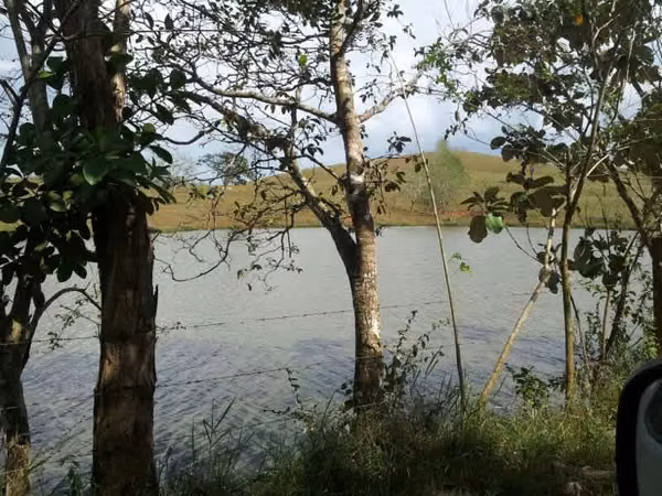 Great Deal: 700-Hectare Cattle Farm for Sale