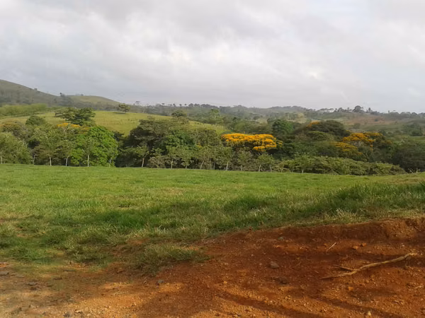 Great Deal: 700-Hectare Cattle Farm for Sale