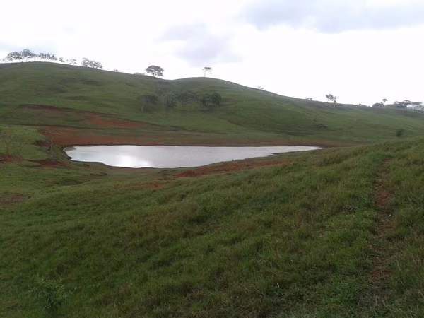 Great Deal: 700-Hectare Cattle Farm for Sale