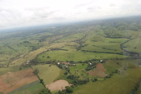 Great Deal: 700-Hectare Cattle Farm for Sale