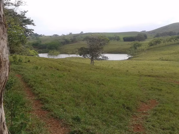 Great Deal: 700-Hectare Cattle Farm for Sale