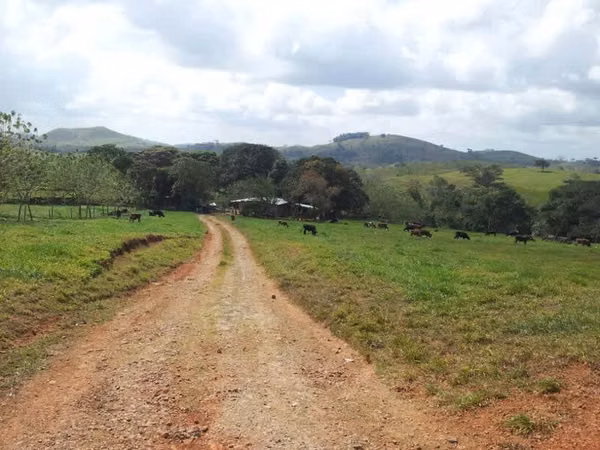 Great Deal: 700-Hectare Cattle Farm for Sale