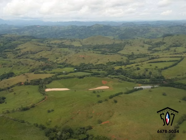 GANGA FINCA GANADERA EN VENTA