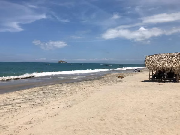 Multi family property for sale in Golden Reef, Santa Clara