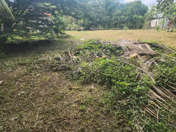 VENDO VIVIENDA EN CHEPO