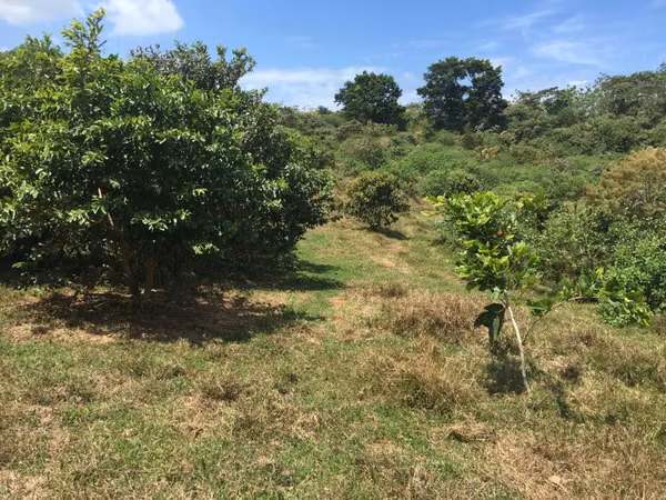 Land for sale in Achiote, Colón