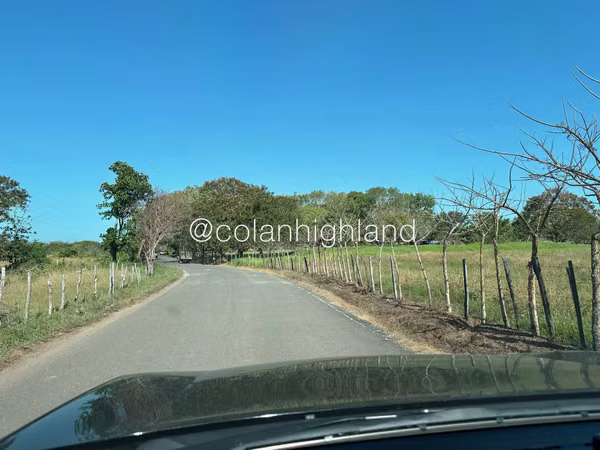 For Sale 308.8 Hectares in Ocu, Herrer
