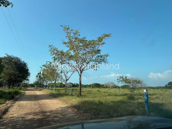 Se Vende Finca de 174.4 Hectareas en La Villa de Los Santos