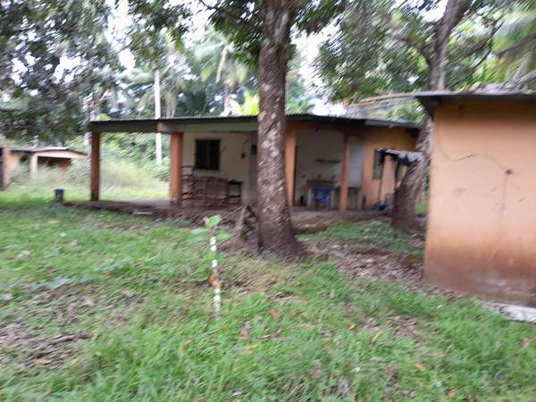 SE VENDE FINCA GANADERA EN PUERTO ORLA (RÍO DE JESÚS).