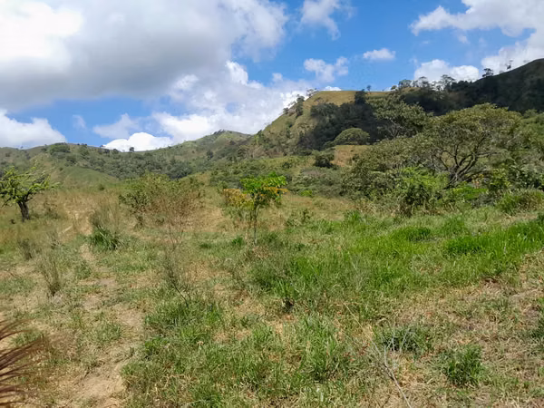 SE VENDE FINCA GANADERA EN TONOSÍ