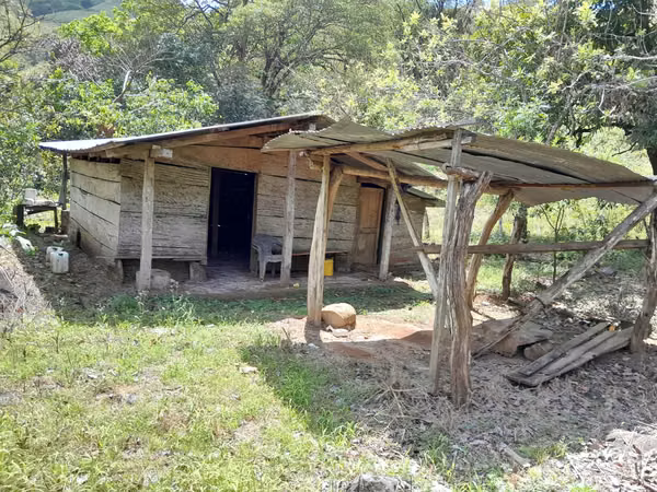 SE VENDE FINCA GANADERA EN TONOSÍ