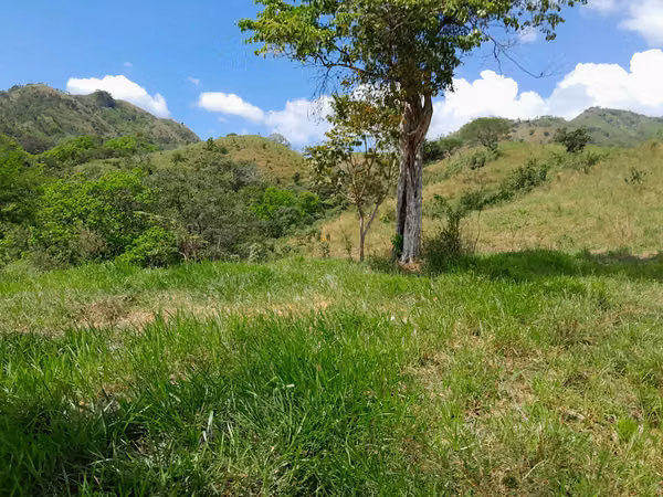 SE VENDE FINCA GANADERA EN TONOSÍ