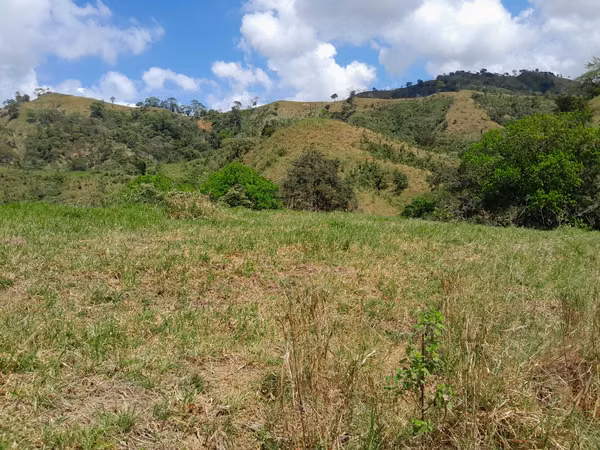 SE VENDE FINCA GANADERA EN TONOSÍ