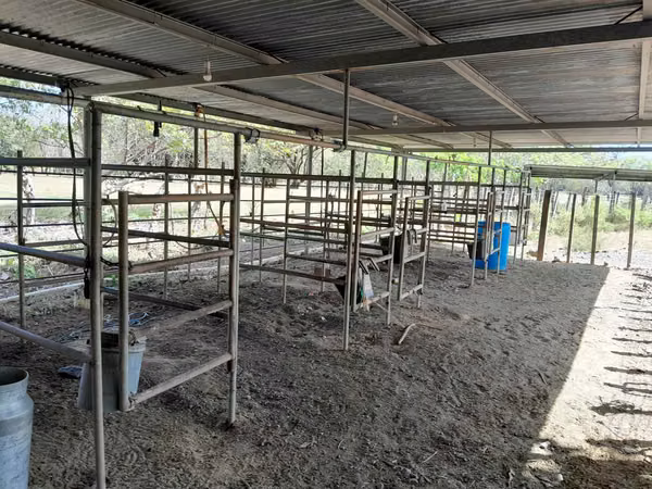 SE VENDE FINCA EN TONOSI (RÍO TONOSI POR EL MEDIO)