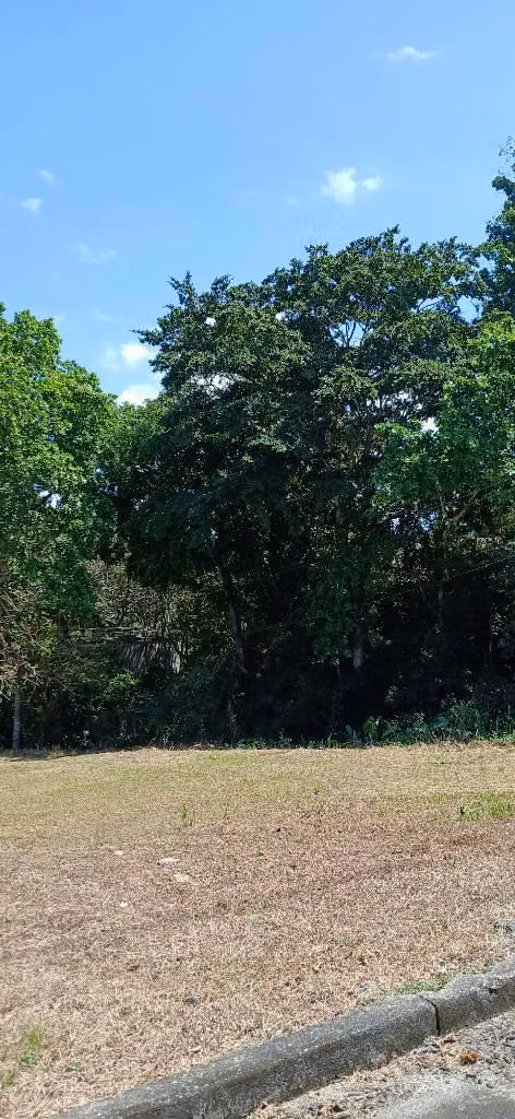 Residential land FOR SALE at The Panama Golf Club