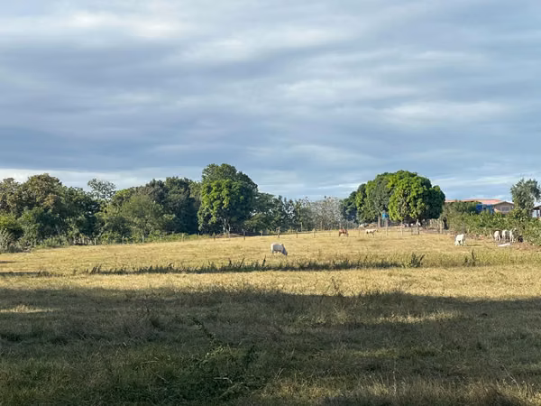 Se vende Terreno en 5 Hectáreas en la Carretera Las Tablas. OV