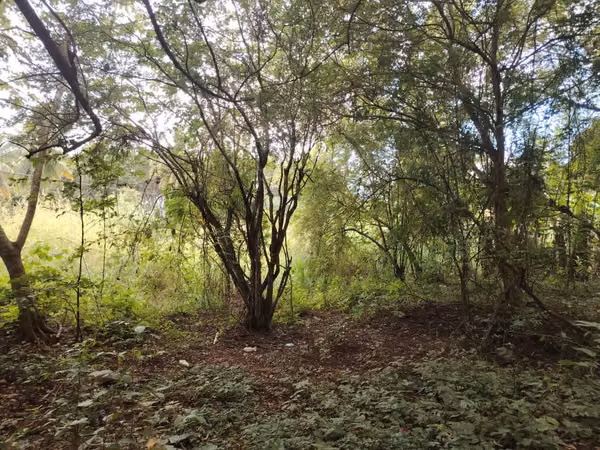For Sale: Excellent Land in Pese - Main Road