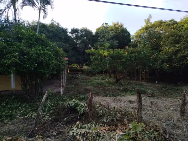 For Sale: Excellent Land in Pese - Main Road