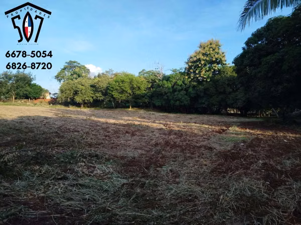For Sale: Excellent Land in Pese - Main Road