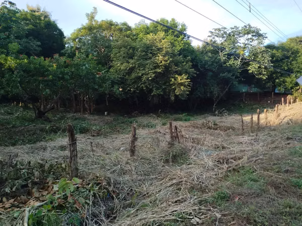 For Sale: Excellent Land in Pese - Main Road