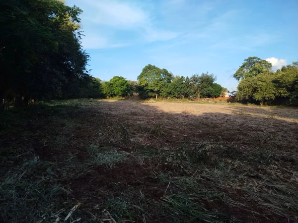 For Sale: Excellent Land in Pese - Main Road