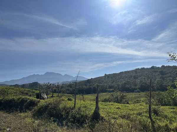 For Sale Land 220 Hectares Volcan Chiriquí