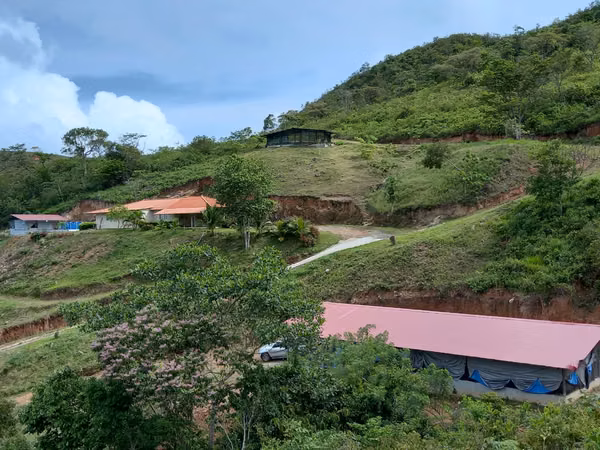 Farm for sale with 2 houses, 3 chicken sheds, fruit  and lemons