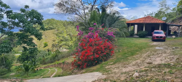 Farm for sale with 2 houses, 3 chicken sheds, fruit  and lemons