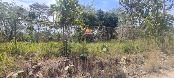 VENDO TERRENO. CARRETERA AL LADO DE BIJAO. PLAYA.
