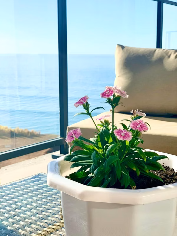 Renting Apartment at the beach