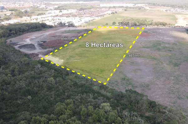 LAND FOR RENT IN COSTA SUR