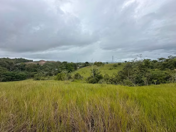 Venta de Finca en Vía las Mendozas, El Arado, La Chorrera, 80 hectáreas