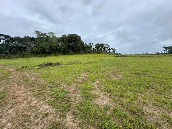 Venta de Finca en Vía las Mendozas, El Arado, La Chorrera, 80 hectáreas